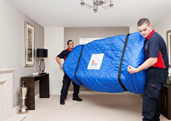 Furniture Removals